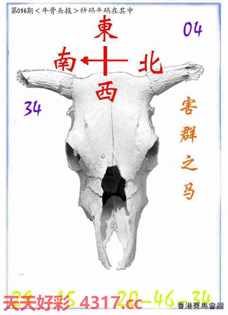 图片加载中...