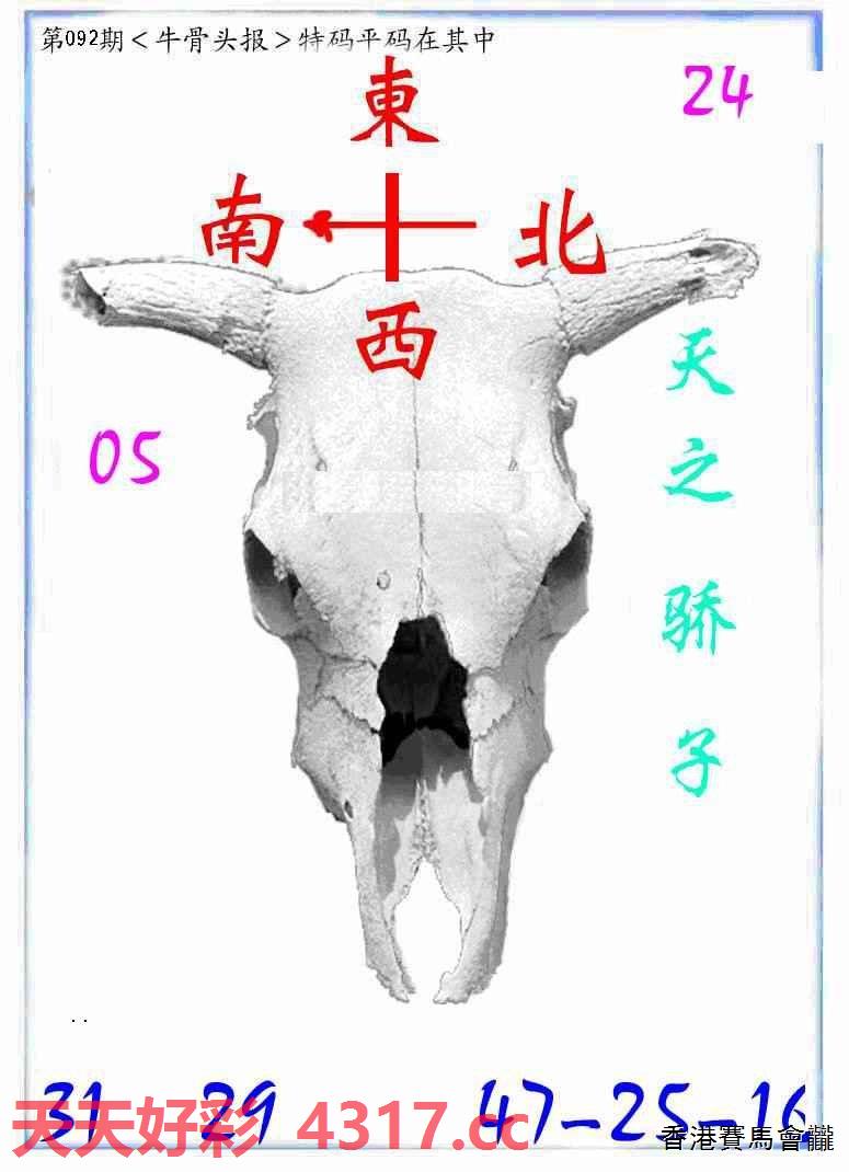 图片加载中...