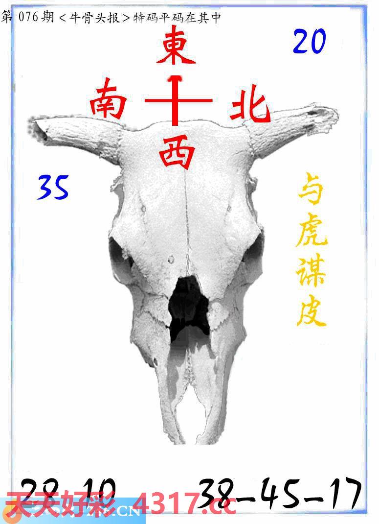 图片加载中...