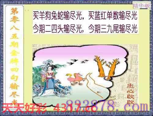 图片加载中...