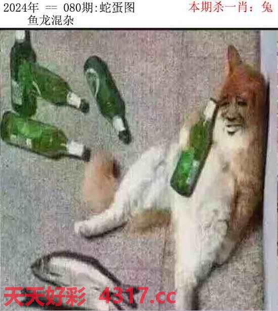 图片加载中...