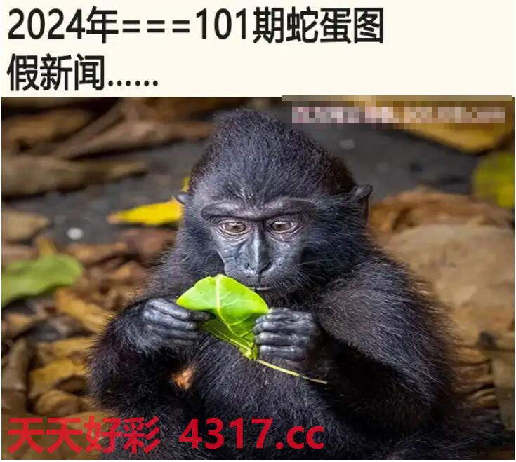 图片加载中...